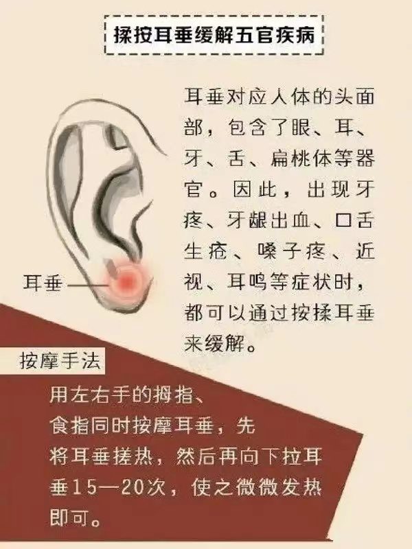 耳诊