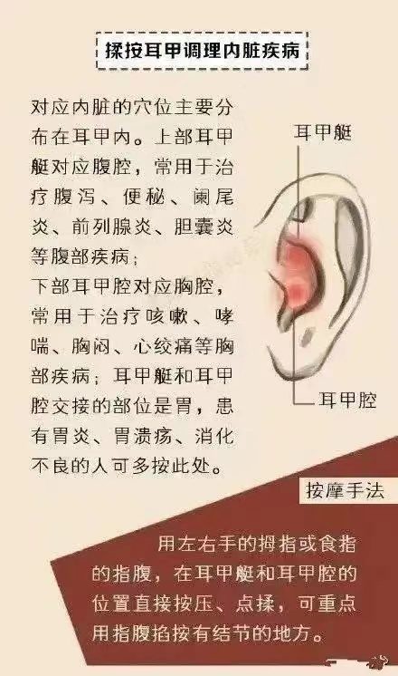耳诊