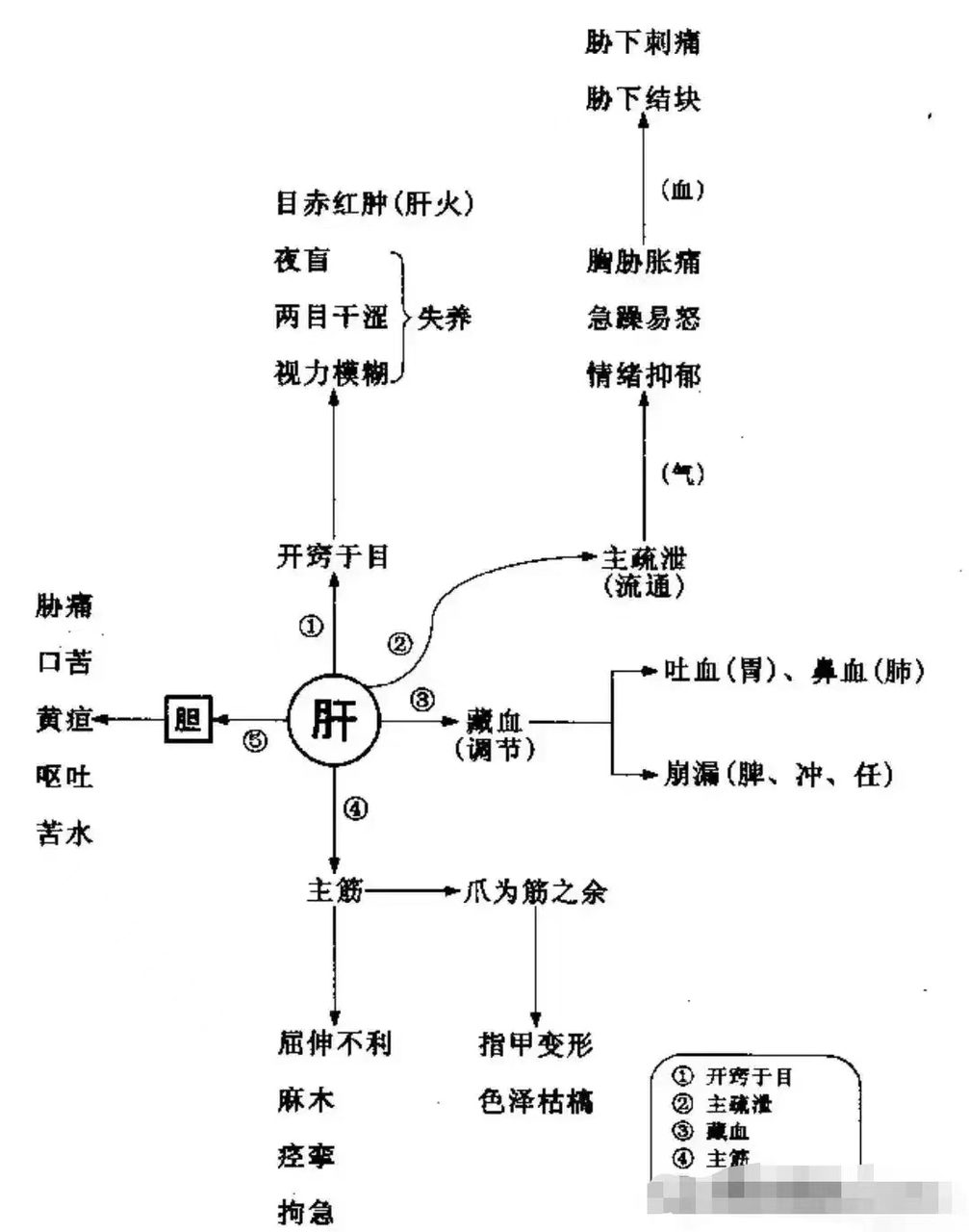 诊断学