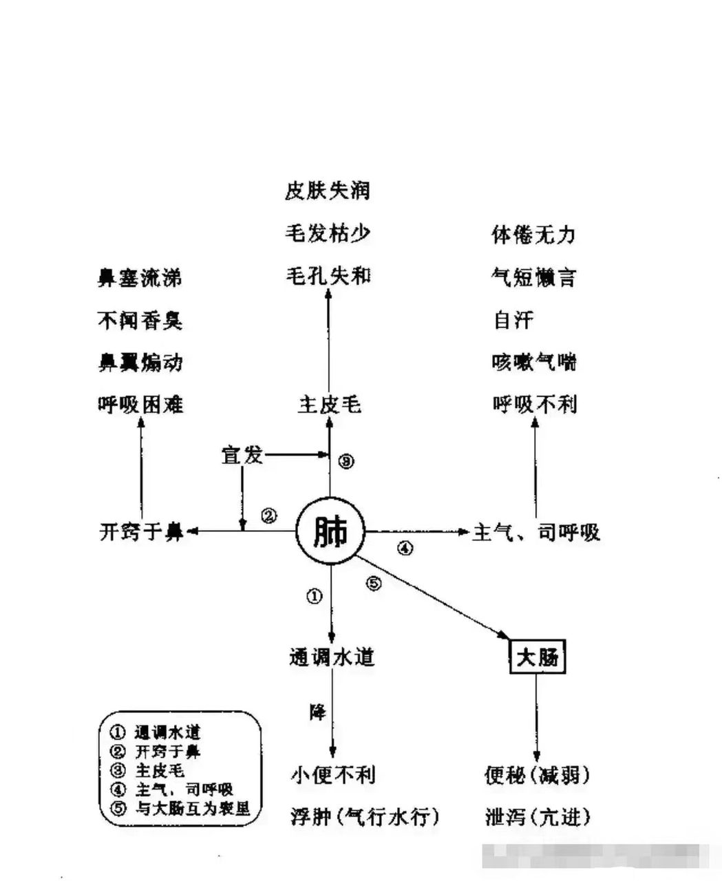 诊断学