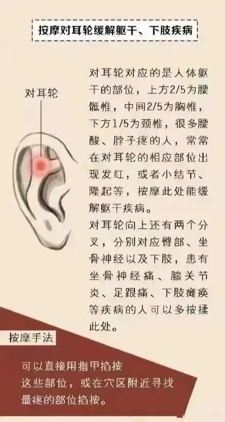 耳诊